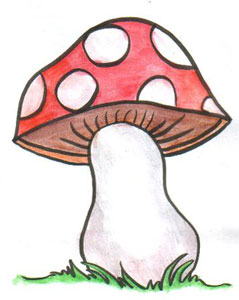 Shells Daily Drawing Dd Prompts Draw A Mushroom And Draw A Bag