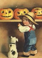 dog looking at pumpkins