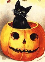 halloween cat with pumpkin