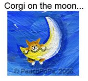 corgi dog on the moon