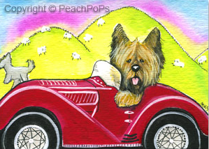 Briard in a car painting