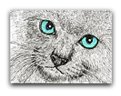 cat illustration with blue eyes