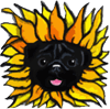 sunflower dog