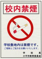 Prohibido fumar dentro del instituto. Me pregunto a quién irá dirigido.
