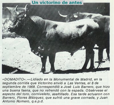 Domadito, de Victorino Martín
