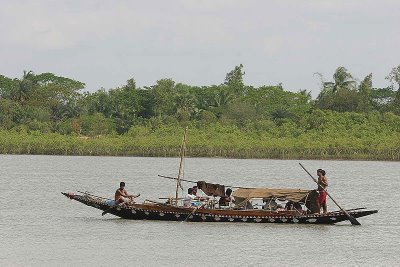 Boat in Sundarbans