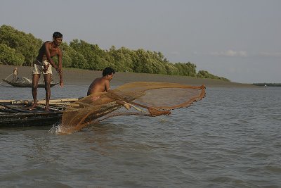 fishing in Sundarbans