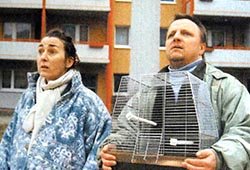 FILM REVIEW: Halbe Treppe
