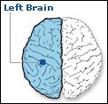 left-brained