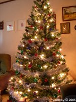 oh christmas tree... 2005