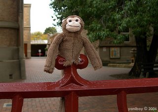 fence monkey 2006