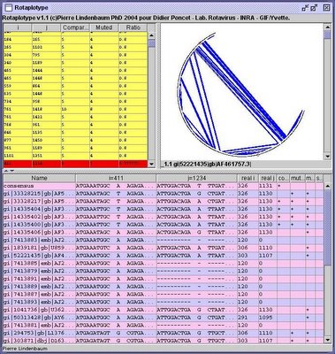 Rotaplotype