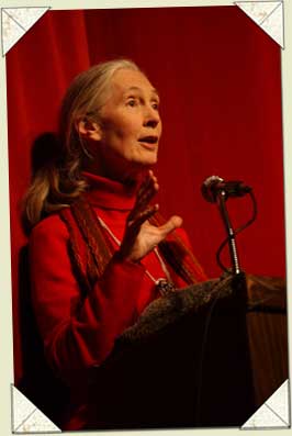 Dr. Jane Goodall - image courtesy of Jane Goodall Institute