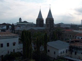 view of Stone Town from a rooftop restaurant