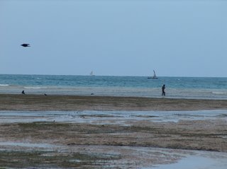 beach on the west coast of Zanzibar