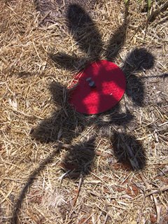 Photo by Deirdre: shadows falling across a round red reflector thing, looking like a flower