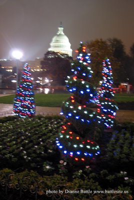 Christmas trees with US Capitol in the background