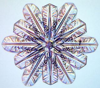 A snowflake yesterday
