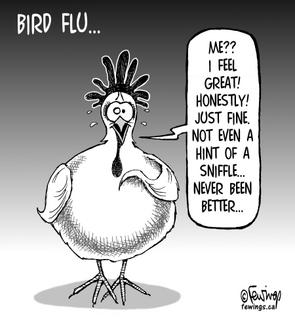 Bird flu comic