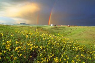 Prairie Rainbow