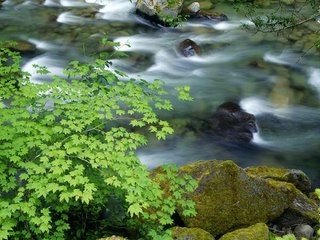 River flow - Panta rei