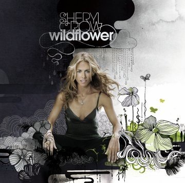 Sheryl Crow not over her ex