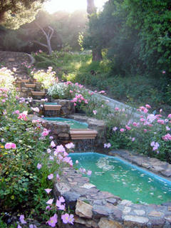 Morcom Ampitheatre of Roses, Oakland Rose Garden, California