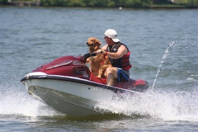 dog on jet-ski, Lake Gaston