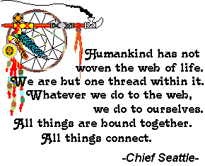 Chief Seattle Poem