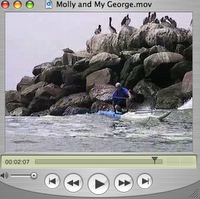 Surfing with George and Molly