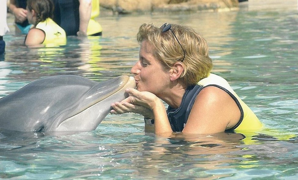 Blogs: women marries dolphin???