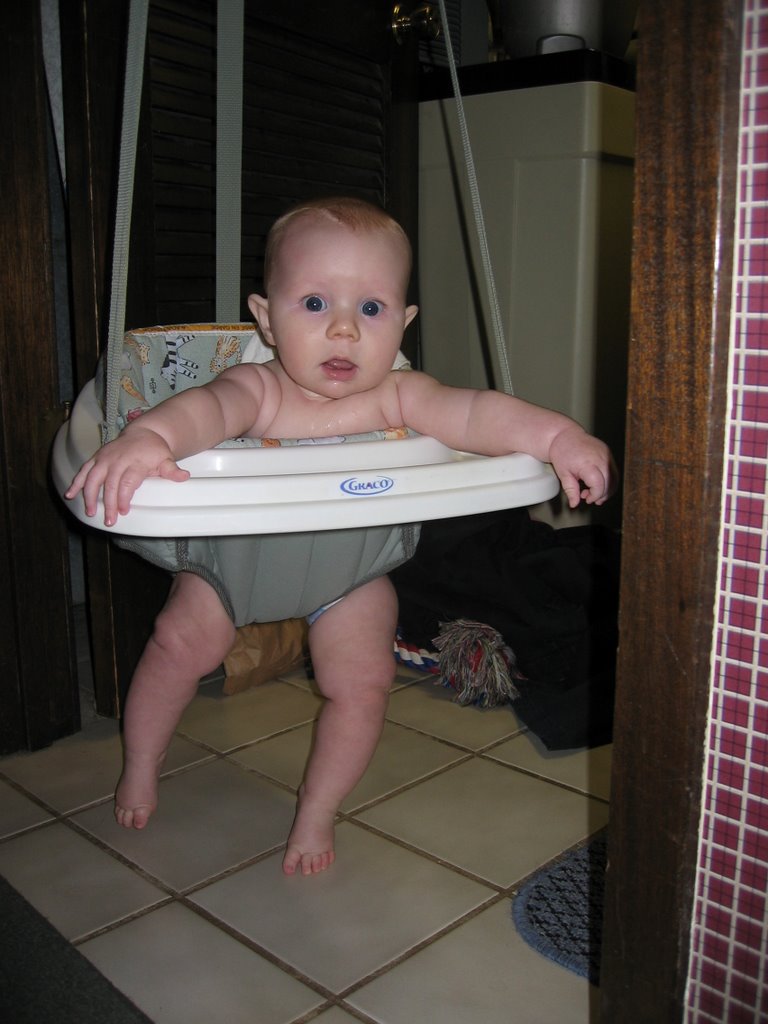 johnny step up potty