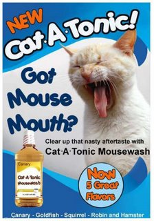 Cat mouth wash