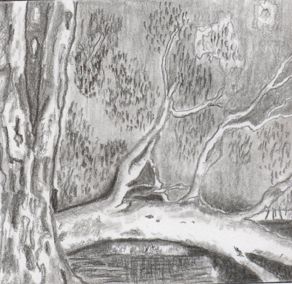 JensFootsteps: Another swamp drawing