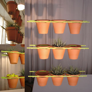 Vegetable Wall Edition Compagnie