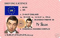 Mr Bean licence