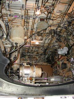 Air New Zealand B737 Inside the right-main gear retraction bay