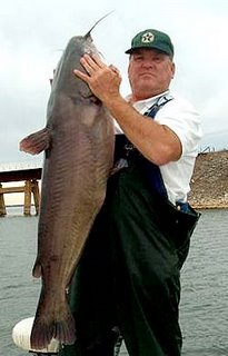 The monster catfish bite is excellent at Lake Texoma in the fall and winter months