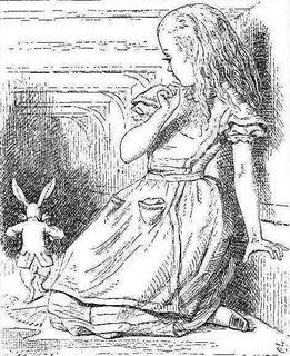 Down the Rabbit Hole