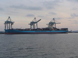 Albert Maersk