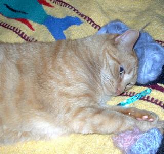 My kitty Gunter relaxing on some yarn, sprawled on top of a hook and pawing a crochet swatch