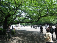 Día 5: Japón (Tokio: Ameyoko, Parque Ueno con Santuario Toshogu, Asakusa con Edificio Asahi y Senso-ji, Travesia Sumida, Odaiba con Sega Joypolis, Fuji TV, Rainbow Bridge, etc).