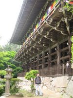Día 9: Japón (Himeji: Castillo de Himeji, Monte Shosha y Engyoji con Templos Maniden, Jikido, Jogyodo y Daikodo, etc).