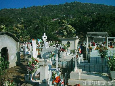 Bocote trees bloom on hillsides and in cemetary amid adorned gravesites