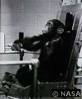 Chimpanzee NASA Gene Human Brain (Evolution Research: John Latter / Jorolat)