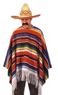 A Mexican&#039;s Life