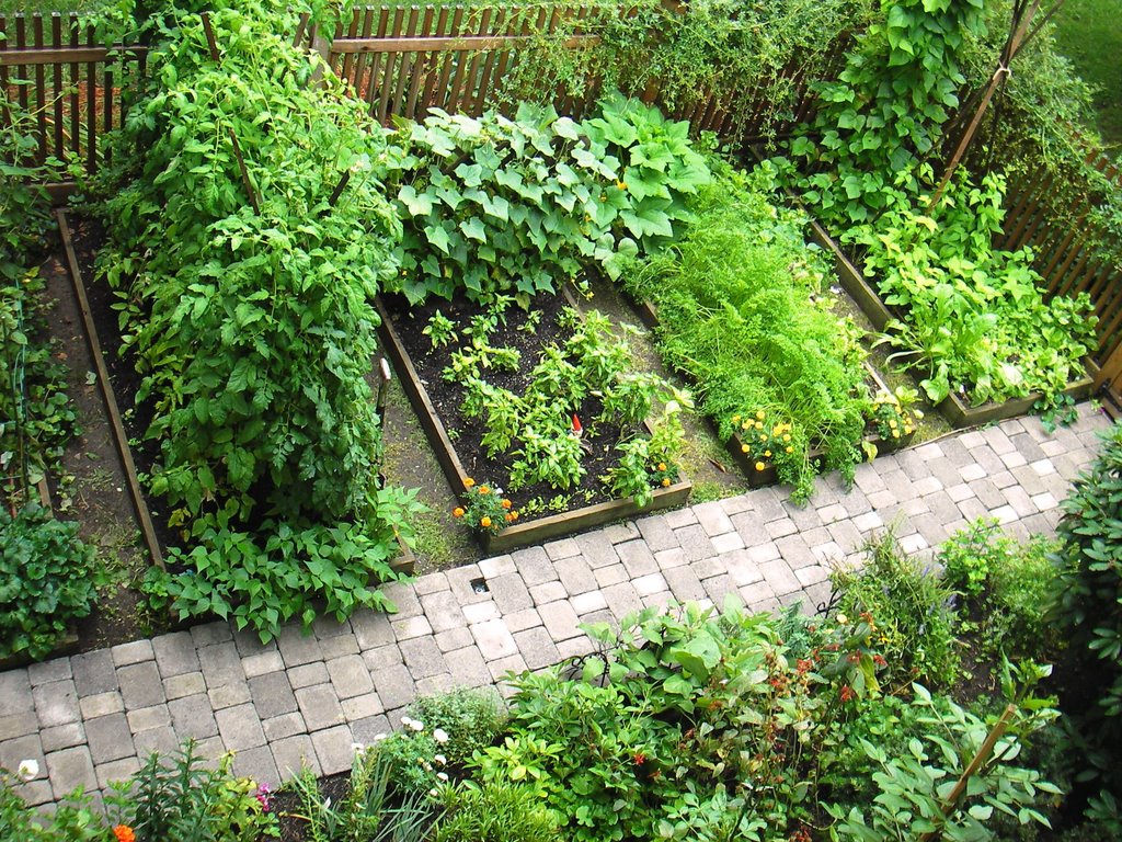 Vegetable Garden Skippy S