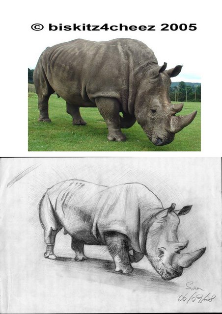 first rhinoceros drawing first rhinoceros drawing