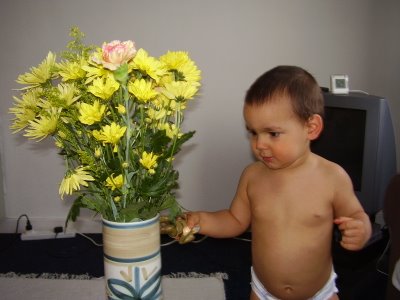 Daniel with flowers