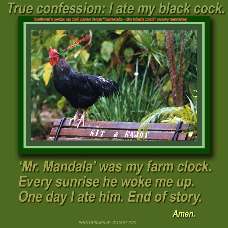 Cock Eater 51
